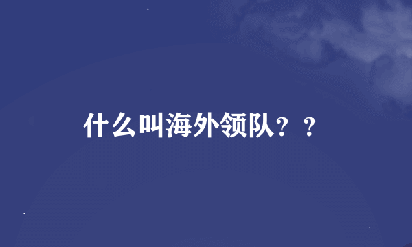 什么叫海外领队？？