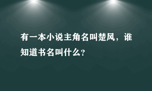 有一本小说主角名叫楚风，谁知道书名叫什么？