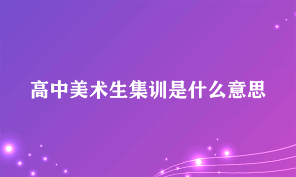 高中美术生集训是什么意思