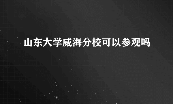 山东大学威海分校可以参观吗