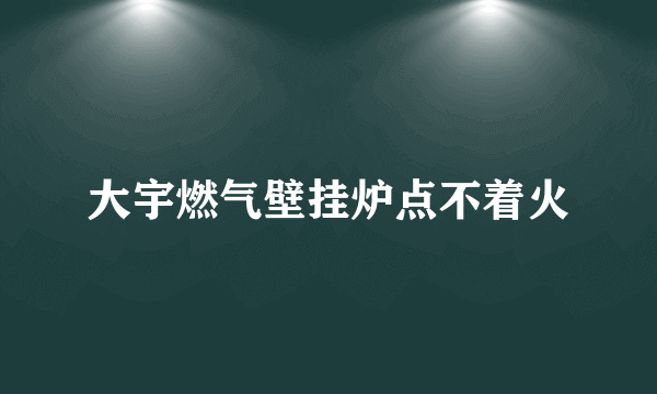 大宇燃气壁挂炉点不着火