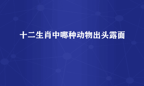 十二生肖中哪种动物出头露面