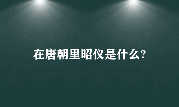 在唐朝里昭仪是什么?