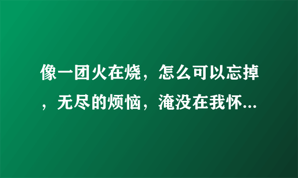 像一团火在烧，怎么可以忘掉，无尽的烦恼，淹没在我怀抱是什么歌 歌曲