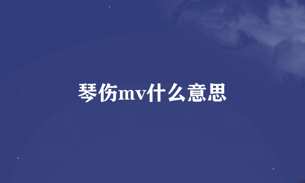 琴伤mv什么意思