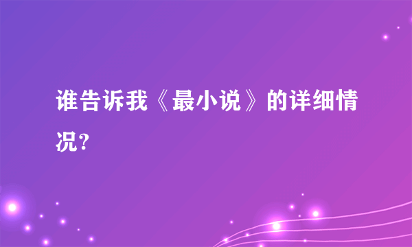 谁告诉我《最小说》的详细情况?