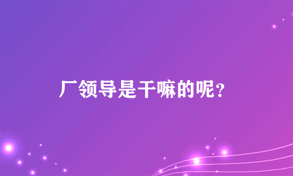 厂领导是干嘛的呢？