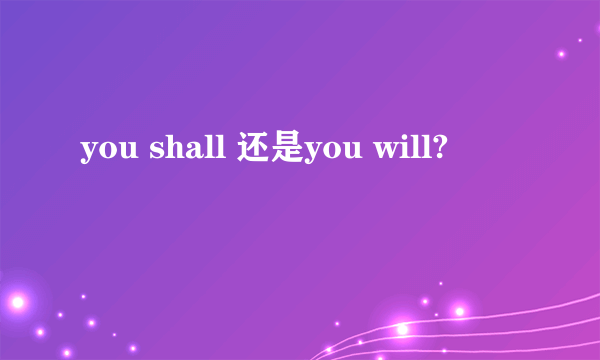 you shall 还是you will?