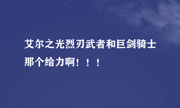 艾尔之光烈刃武者和巨剑骑士那个给力啊！！！