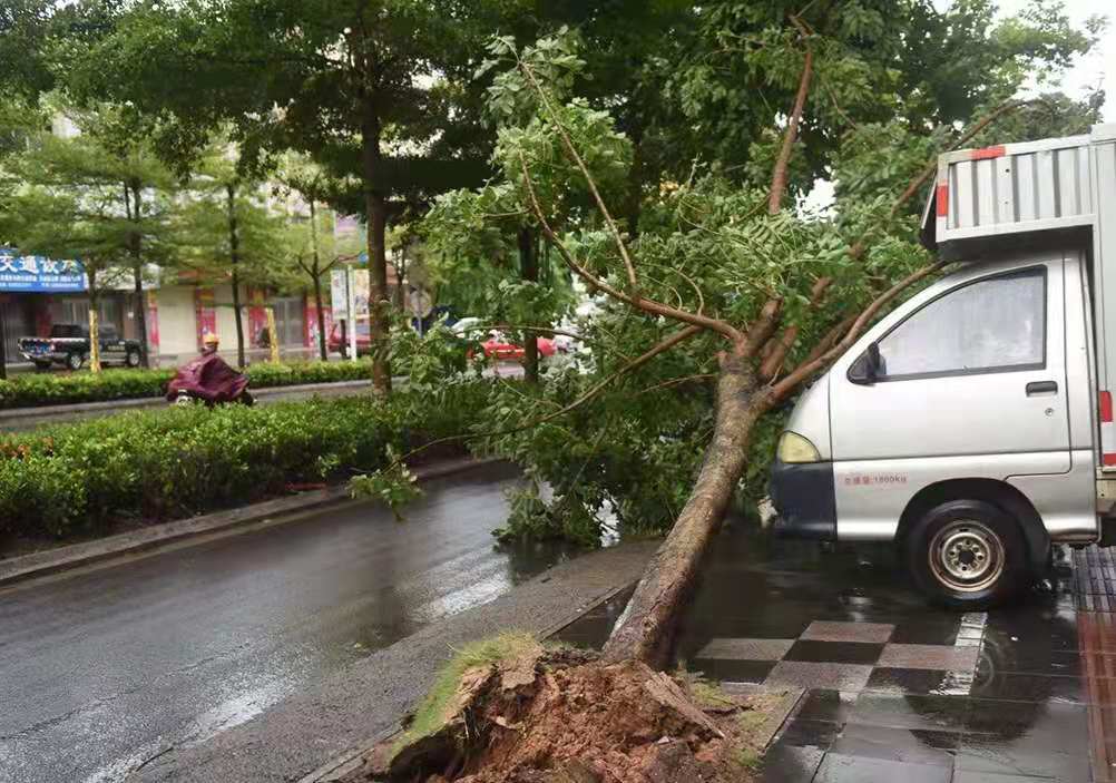 台风登陆海南，当地的风究竟有多大？