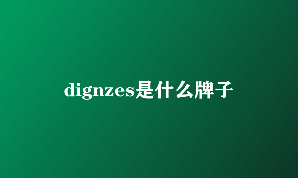 dignzes是什么牌子