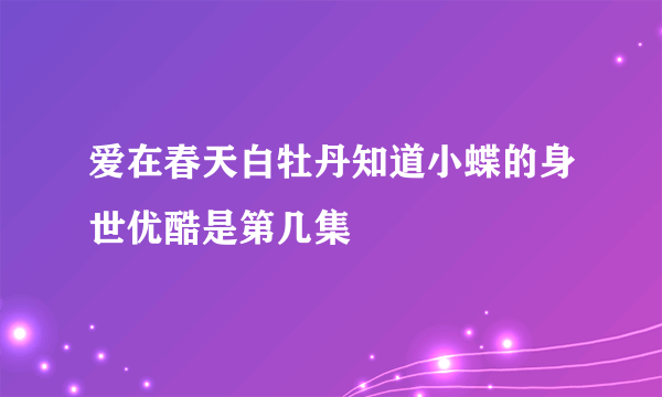 爱在春天白牡丹知道小蝶的身世优酷是第几集