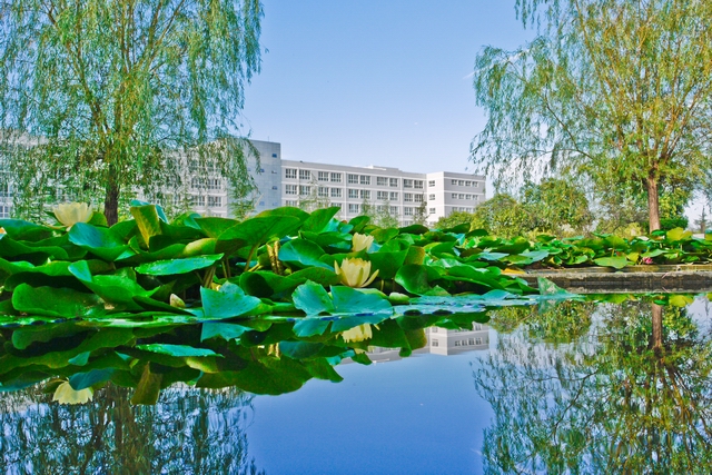 陕西科技大学镐京学院地址