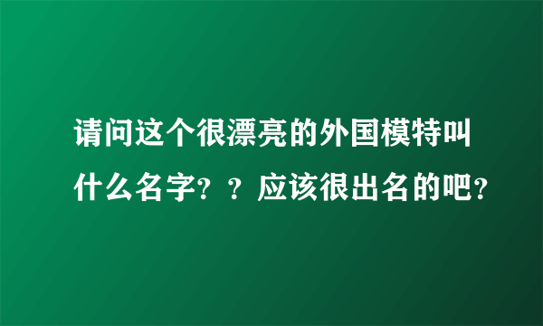 请问这个很漂亮的外国模特叫什么名字？？应该很出名的吧？