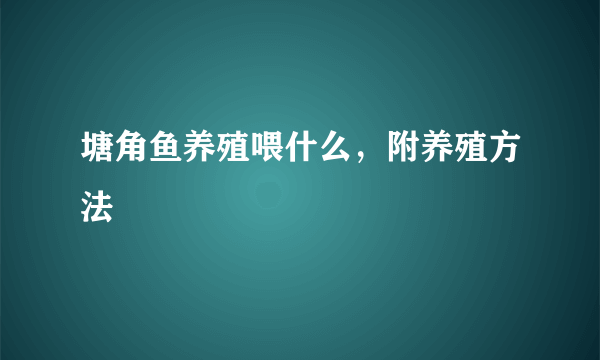 塘角鱼养殖喂什么，附养殖方法