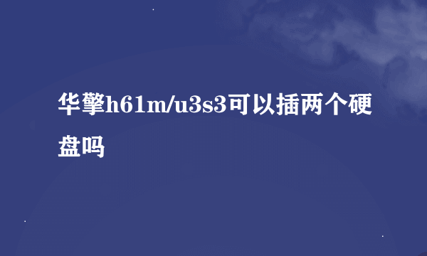 华擎h61m/u3s3可以插两个硬盘吗