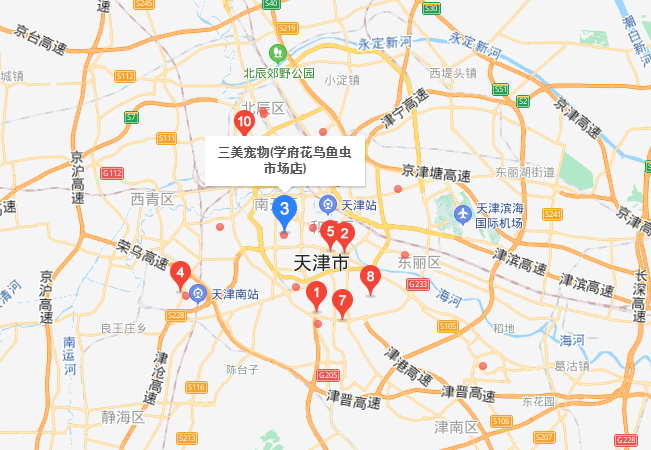 天津市内哪里有宠物市场？