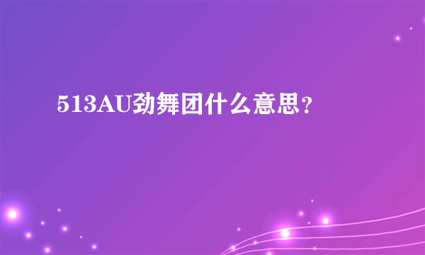 513AU劲舞团什么意思？