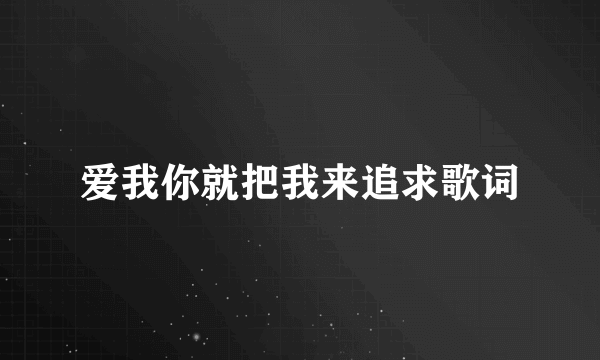 爱我你就把我来追求歌词