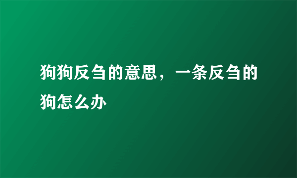 狗狗反刍的意思，一条反刍的狗怎么办