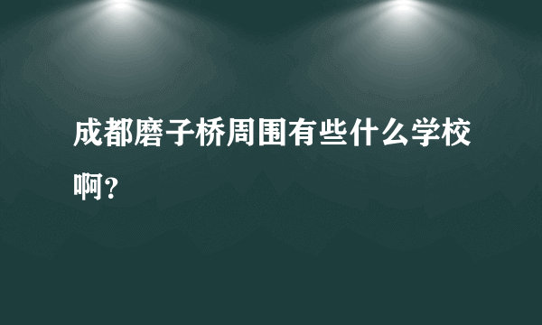 成都磨子桥周围有些什么学校啊？