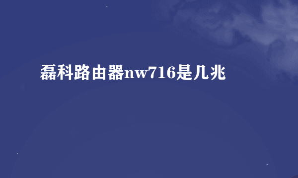 磊科路由器nw716是几兆