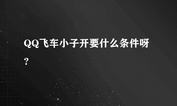 QQ飞车小子开要什么条件呀？