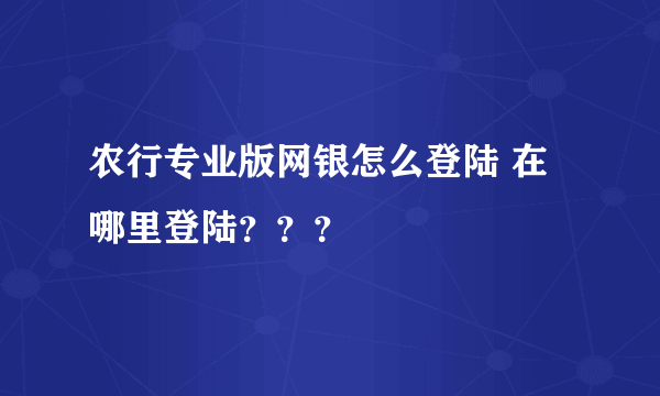 农行专业版网银怎么登陆 在哪里登陆？？？