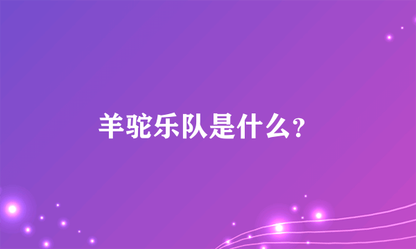 羊驼乐队是什么？