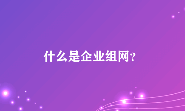 什么是企业组网？