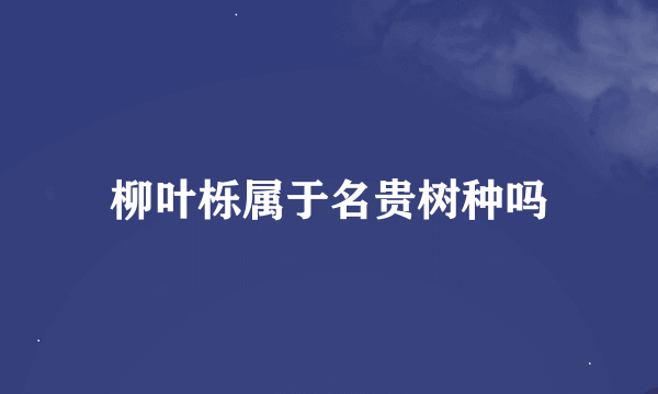 柳叶栎属于名贵树种吗