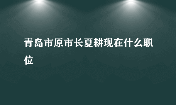 青岛市原市长夏耕现在什么职位