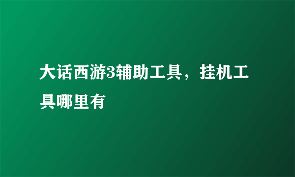 大话西游3辅助工具，挂机工具哪里有