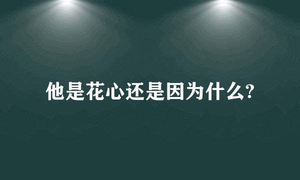 他是花心还是因为什么?