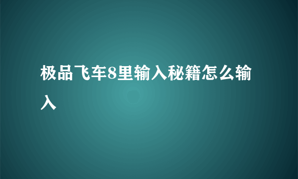 极品飞车8里输入秘籍怎么输入