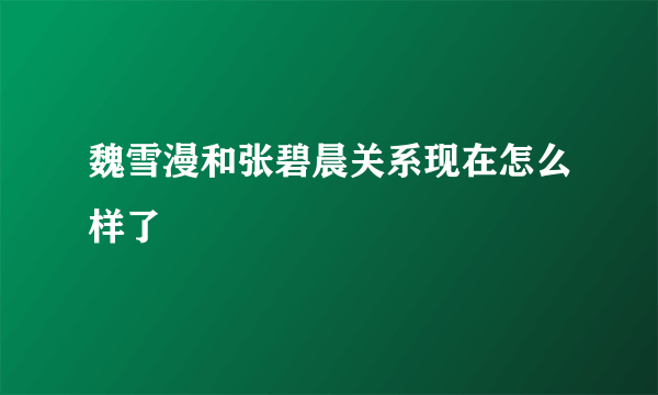 魏雪漫和张碧晨关系现在怎么样了