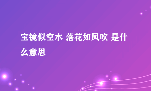 宝镜似空水 落花如风吹 是什么意思