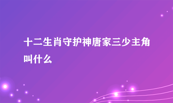 十二生肖守护神唐家三少主角叫什么