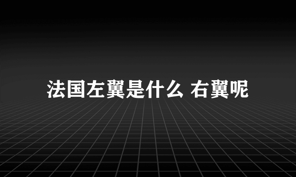 法国左翼是什么 右翼呢