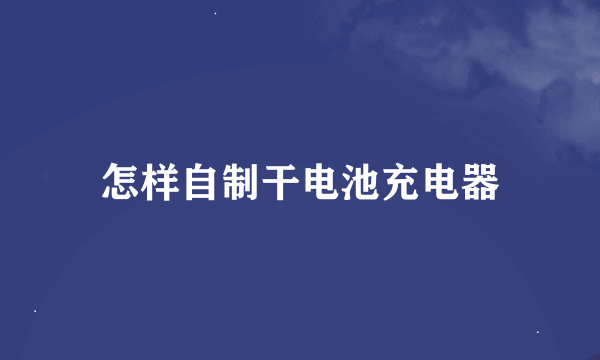 怎样自制干电池充电器