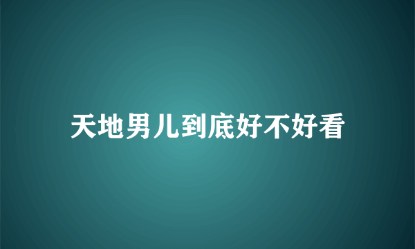 天地男儿到底好不好看