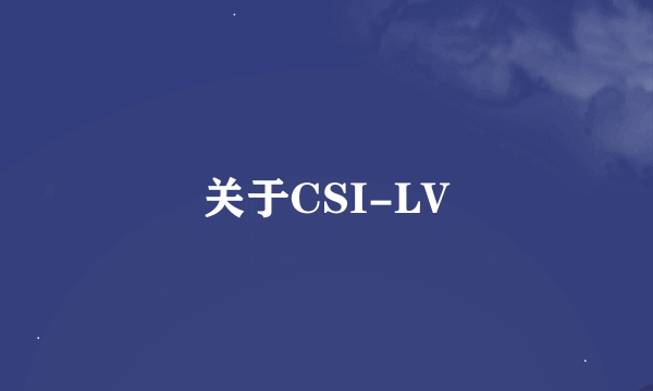 关于CSI-LV