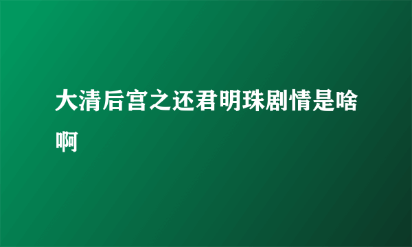 大清后宫之还君明珠剧情是啥啊