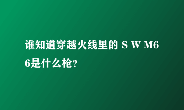 谁知道穿越火线里的 S W M66是什么枪？