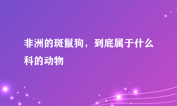 非洲的斑鬣狗，到底属于什么科的动物