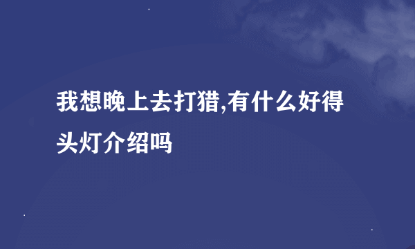 我想晚上去打猎,有什么好得头灯介绍吗