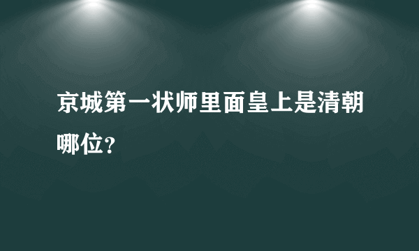 京城第一状师里面皇上是清朝哪位？