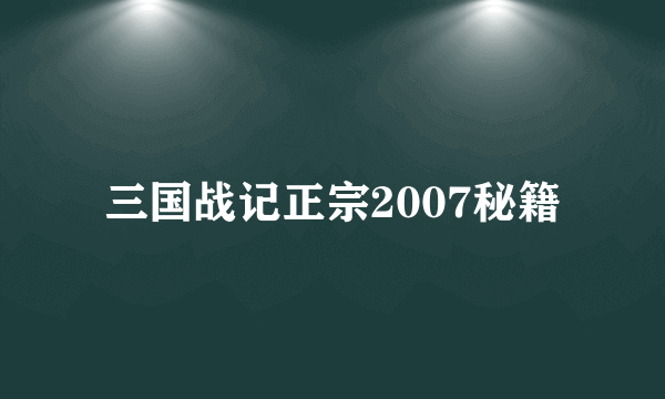 三国战记正宗2007秘籍