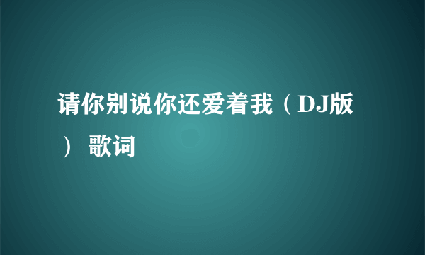 请你别说你还爱着我（DJ版） 歌词