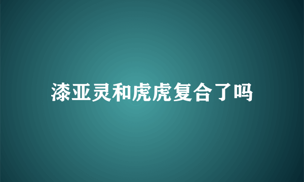 漆亚灵和虎虎复合了吗